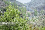 سرمایه‌گذاری ۱۷ هزار میلیارد تومانی در پروژه‌های گردشگری لرستان/ ایجاد ۲۰ هزار فرصت شغلی
