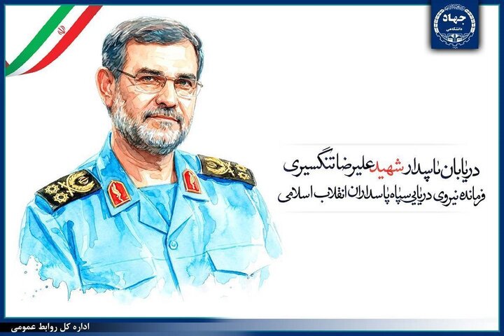 محمد هاشمی: شهید تنگسیری فرزندی از دلیران تنگستان بود