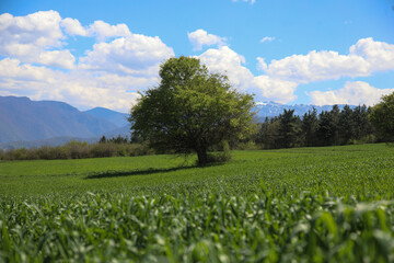 طبیعت بهاری سوادکوه - مازندران