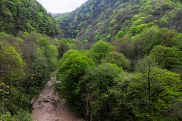 طبیعت بهاری سوادکوه - مازندران
