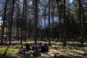 روز طبیعت در کرمان