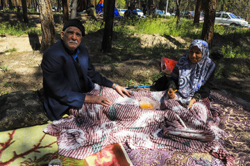روز طبیعت در کرمان