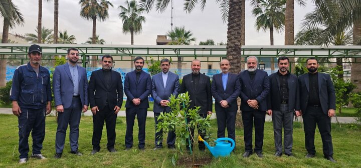 کاشت نهال «امید» در سفارت ایران در عراق کاشت نهال در سفارت ایران در عراق