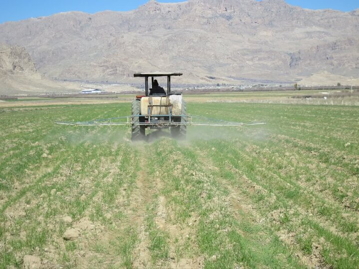 تکمیل عملیات سم‌پاشی علیه علف‌های هرز در مزارع استهبان