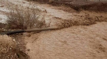 خسارت ۲۰ میلیارد ریالی سیلاب به تاسیسات آب خراسان جنوبی