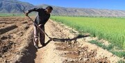 تدوین نسل جدید الگوی کشت/ محدودیت منابع آب و خاک، مهم‌ترین چالش کشاورزی ایران