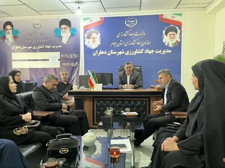 آمادگی دهلران برای برداشت کیفی غلات و دانههای روغنی