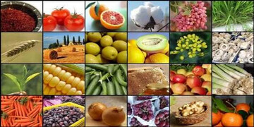 بیش از ۹۵ درصد کارخانه‌های صنعت غذا پای کار هستند/ برای تامین کالاهای اساسی نگرانی نداریم