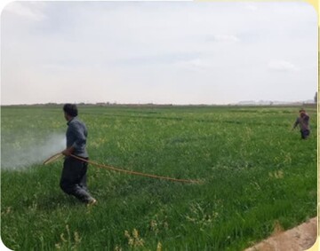 مدیریت آب؛ ضرورتی حیاتی برای بقای کشاورزی