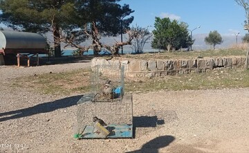 دستگیری متخلفان زنده‌گیری پرندگان و صید غیرمجاز ماهی در مرودشت