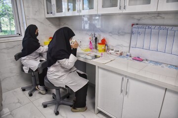 آزمایشگاه نمونه گیری از خون مرغ جهت ارزیابی دامپزشک از وضعیت مرغ های گوشتی
