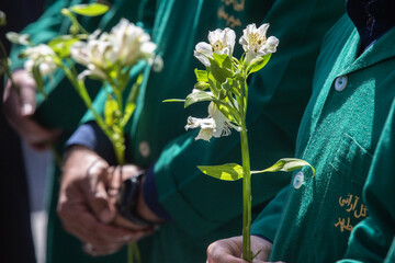 اهدای گل به یادمان امام شهید انقلاب - حرم حضرت فاطمه معصومه(س)