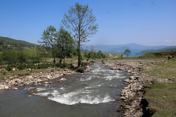 طبیعت بهاری دریاچه لفور - مازندران