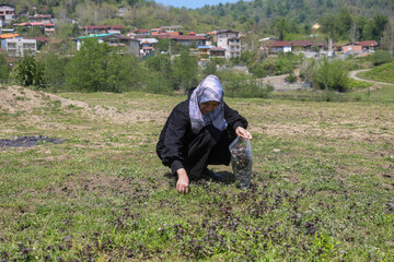 طبیعت بهاری دریاچه لفور - مازندران