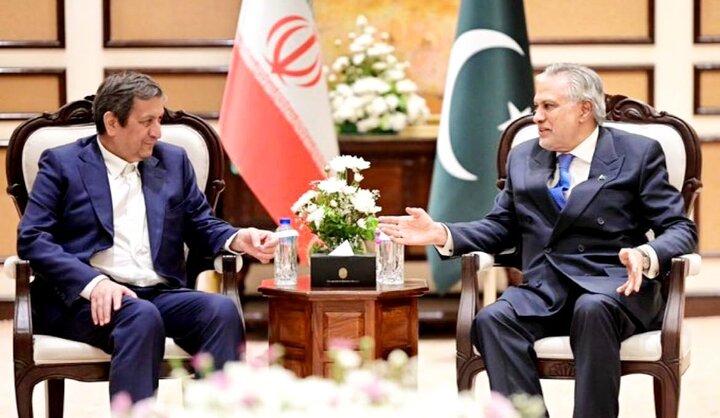 دیدار همتی با وزیر خارجه پاکستان دیدار همتی با وزیر خارجه پاکستان