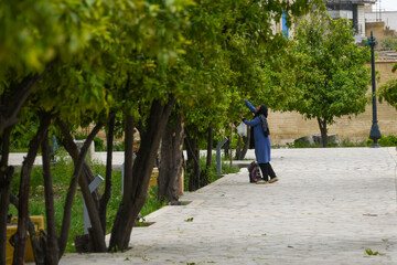 بهار نارنج شیراز
