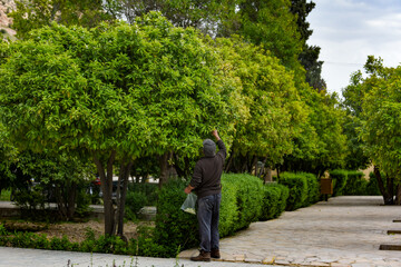 بهار نارنج شیراز