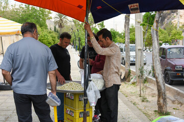 بهار نارنج شیراز