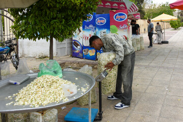بهار نارنج شیراز