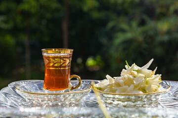 بهار نارنج شیراز