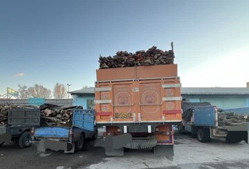 توقیف ۴ دستگاه خودرو حامل ۱۲ تن هیزم جنگلی در اردبیل