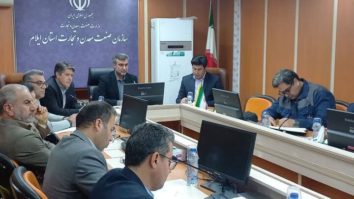 معاون استاندار ایلام: بیش از ۴۰ درصد تسهیلات اشتغال خانگی پرداخت شد