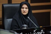 اجرای طرح «عهدواره محله پای کار ایران» در بوشهر آغاز شد