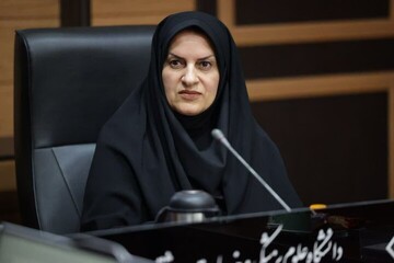 مدیرکل اجتماعی استانداری بوشهر: بانوان توانخواه شایسته فرصتی برای شروع دوباره‌اند