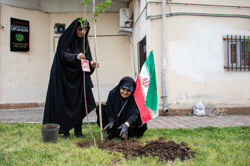 کاشت 200 اصله نهال مثمر - رشت