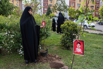 کاشت 200 اصله نهال مثمر - رشت
