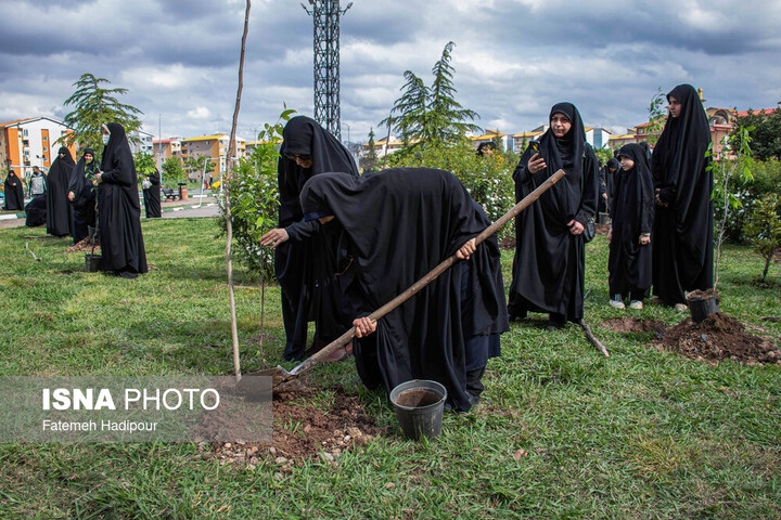 عکس تزئینی ست مشارکت حج و زیارت سمنان در پویش کاشت ۴۰ هزار نهال مثمر به یاد شهدای جنگ رمضان