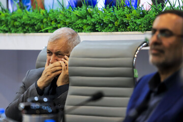 نشست نمایندگان و مدیران اقتصادی استان کرمان با معاون پارلمانی وزیر اقتصاد و دارایی