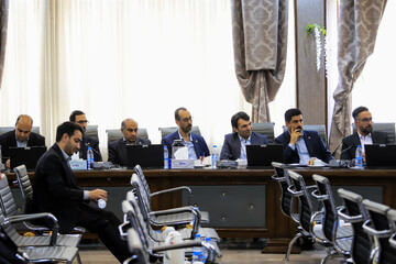 نشست نمایندگان و مدیران اقتصادی استان کرمان با معاون پارلمانی وزیر اقتصاد و دارایی