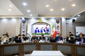 در نشست نمایندگان و مدیران اقتصادی کرمان با معاون وزیر چه گذشت؟
