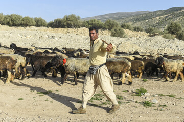 کوچ بهاری عشایر استان فارس- شیراز