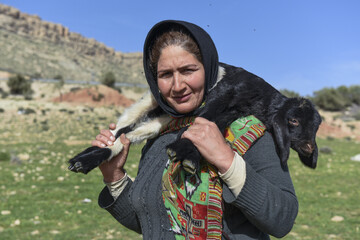 جابجایی دامهای کوچک به محل نگهداری از آنها در کوچ بهاری عشایر استان فارس- شیراز