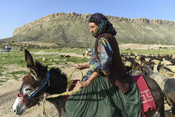 مسیر کوچ در کوچ بهاری عشایر استان فارس- شیراز