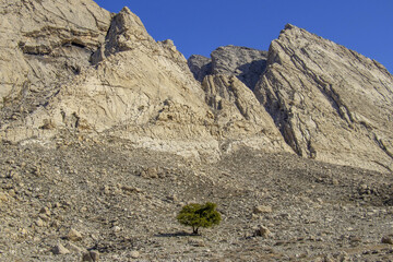 روستای لیوس