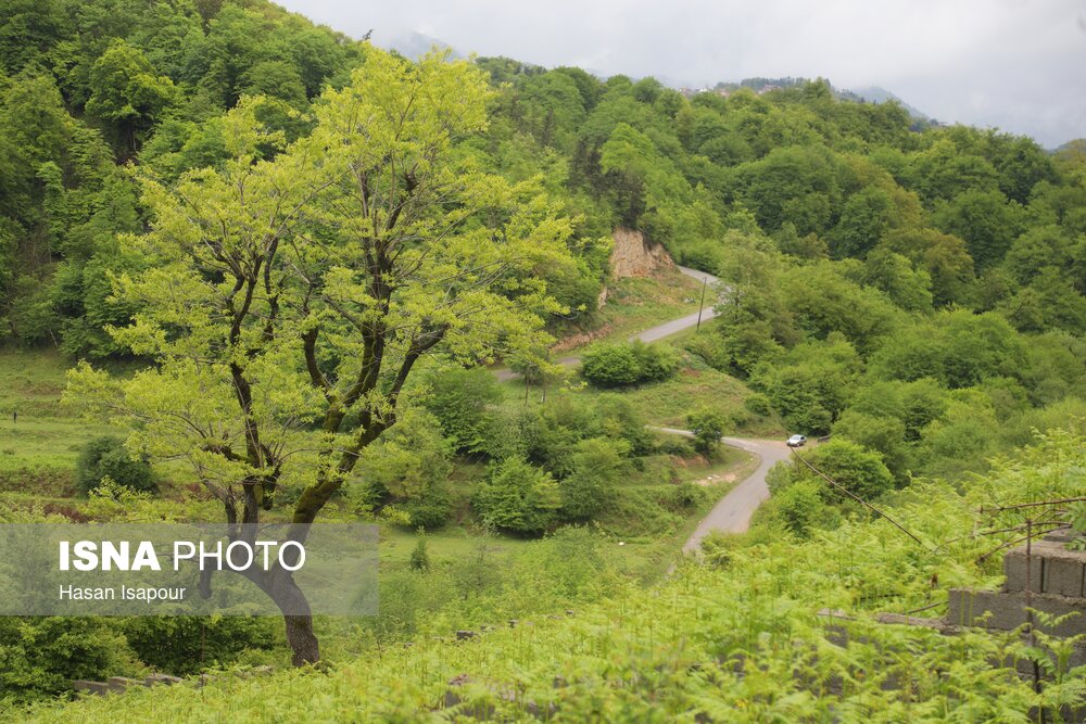 Deployment of advanced monitoring systems in Lorestan managed areas