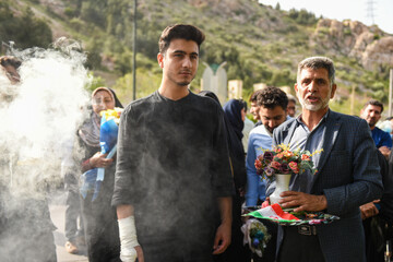 بازگشت ۹ دریادل ناو دنا به شیراز
