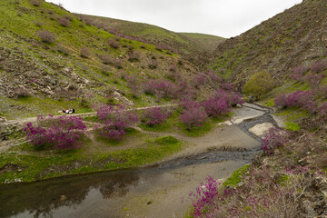 دره ارغوان مشهد در ۳ کیلومتری غرب مشهد و کیلومتر ۷ جاده طرقبه به روستای کلاته آهن قرار گرفته است 