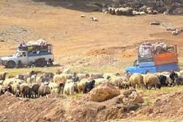 کوچ ۴۰۰ خانوار عشایر منطقه سیستان به مقاصد درون‌ و برون استانی