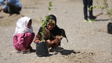 پویش کاشت نهال امید در سیستان وبلوچستان