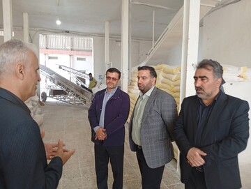 نظارت بر خط تولید آرد در آستارا