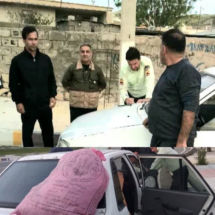 کشف و توقیف محموله گیاه دارویی قاچاق در دهلران/جلوگیری از قاچاق هیزم و زغال