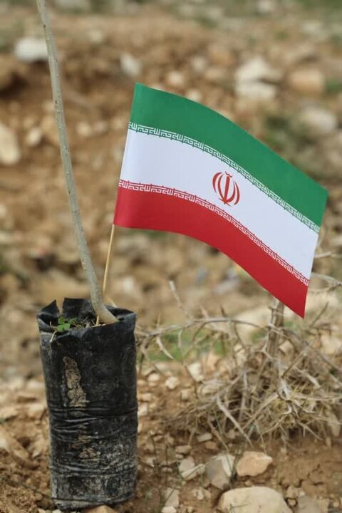 برگزاری مراسم «پویش سبز» در گرامیداشت شهدای جنگ رمضان