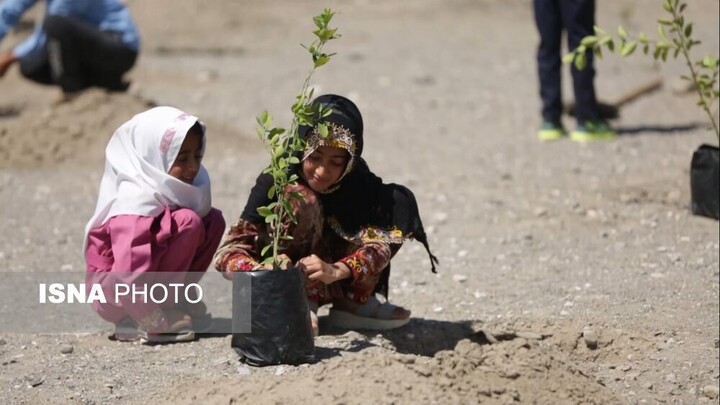 پویش کاشت نهال امید در سیستان وبلوچستان