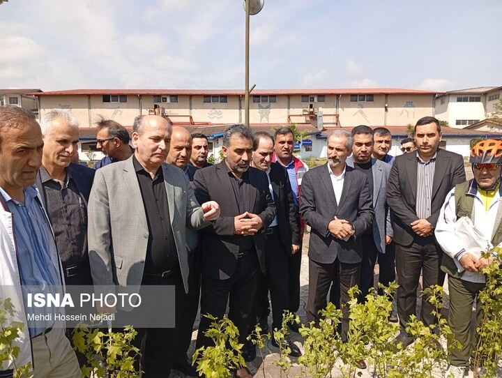 کاشت ۱۶۸ نهال هیرکانی در آستارا به یاد دانشآموزان شهید مدرسه میناب