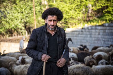یکی از دامداران روستای «شانه تراش»