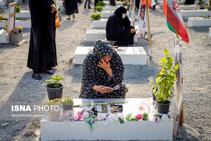 «شجره طیبه میناب»؛ بغض خفته در گلوی ایران